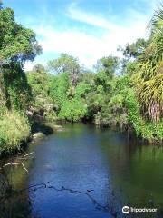 Little Manatee River State Park