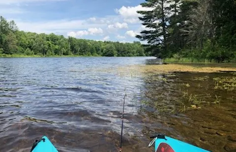 Gale Meadows Pond