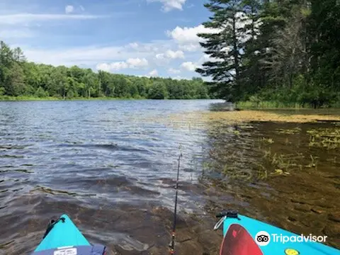 Gale Meadows Pond