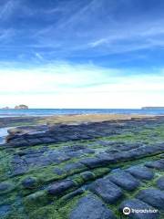 Tessellated Pavement