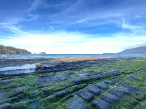 Tessellated Pavement