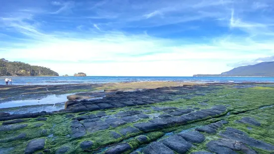 Tessellated Pavement