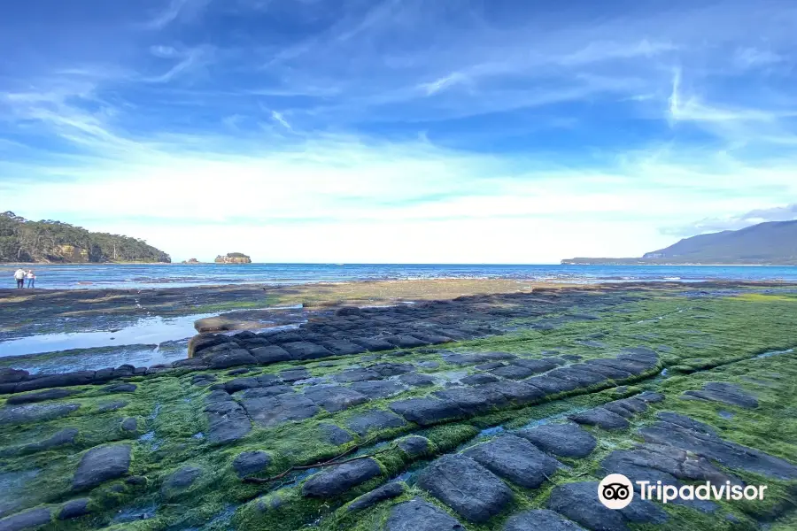 Tessellated Pavement