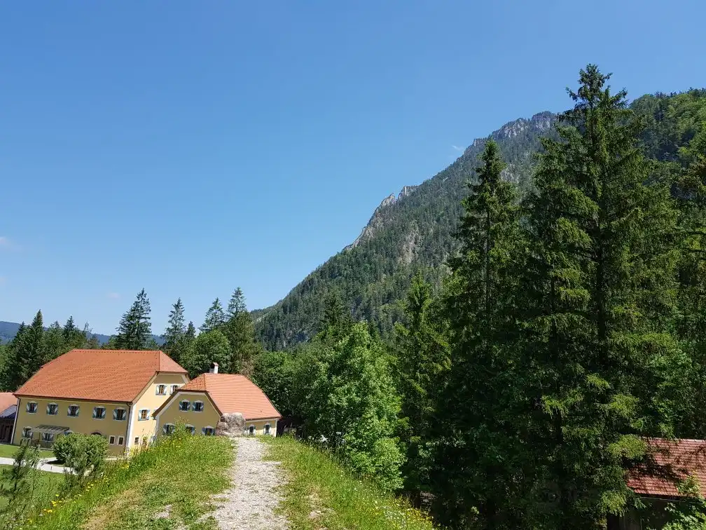 Hotels near Holzknecht Museum