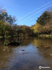 Tumut River