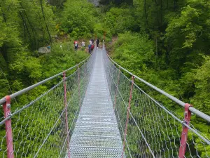 Tibetano Bridge
