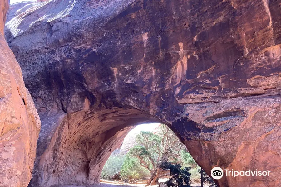 Navajo Arch