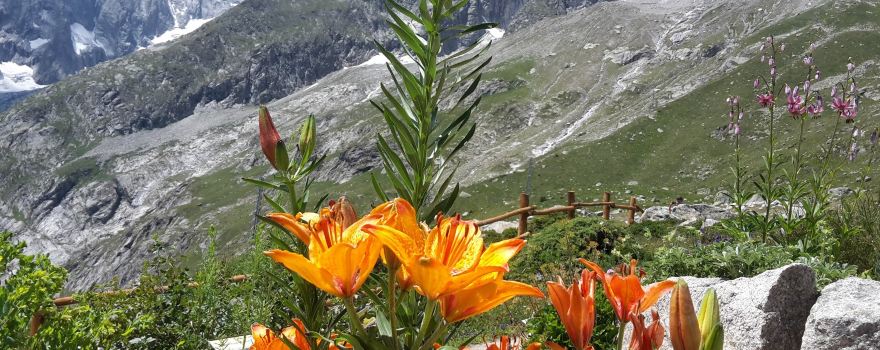Courmayeur