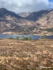 Loch Affric Circular Walk