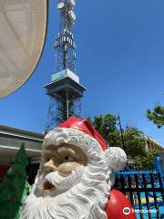 Shepparton Observation Tower