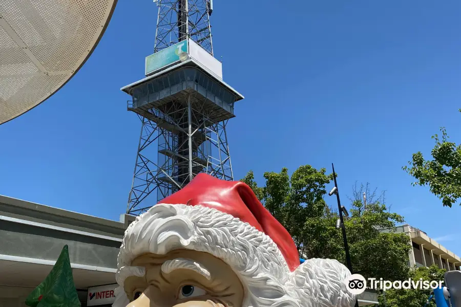 Shepparton Observation Tower