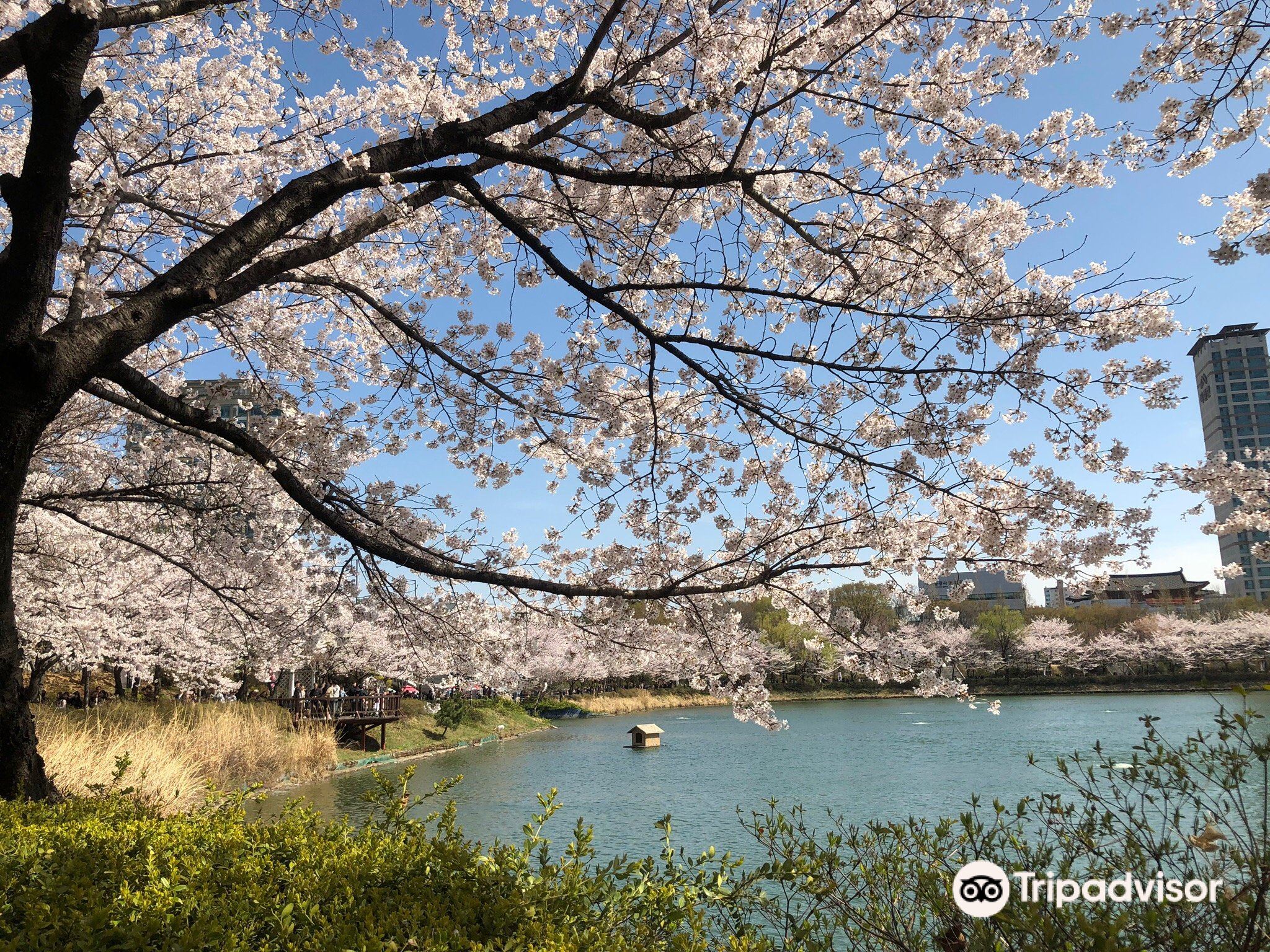 Озеро Сокчхон