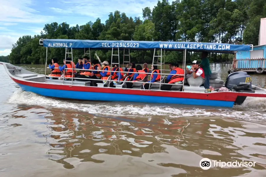 Matang Mangrove Forest Reserve Eco Park