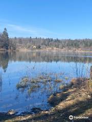 Lac de Bonlieu