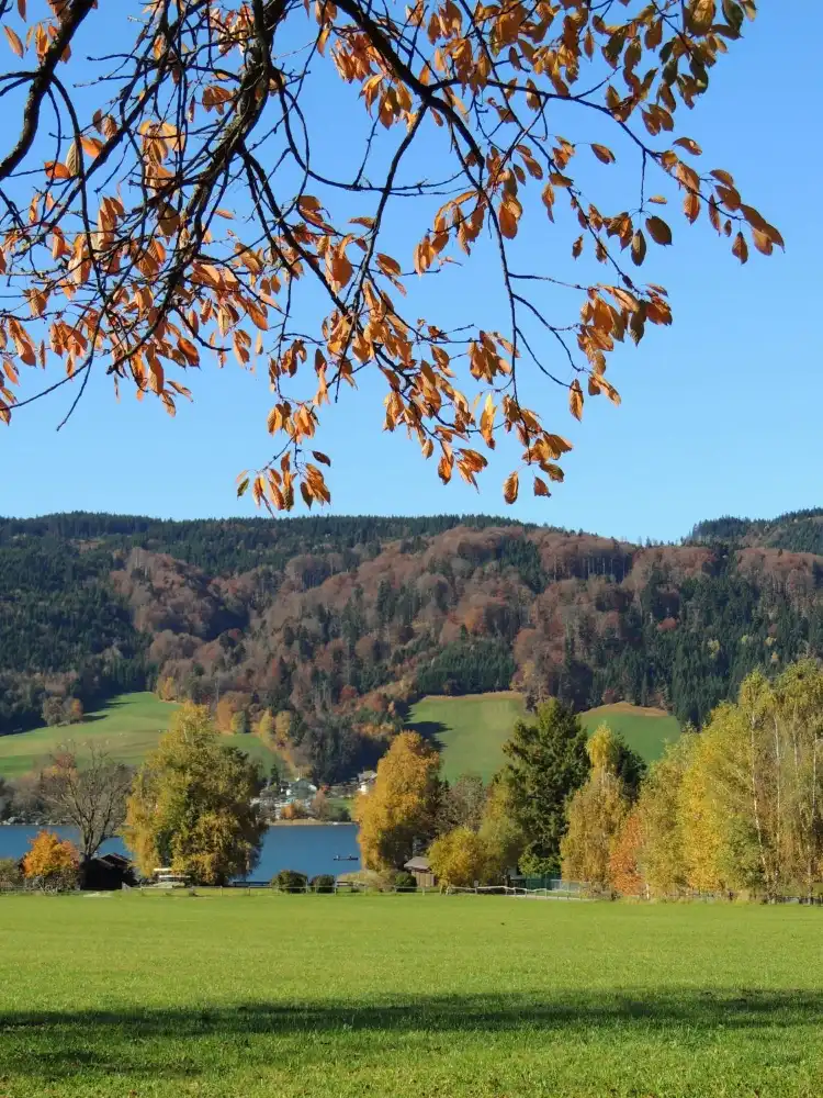 Hotels in Zell am Moos