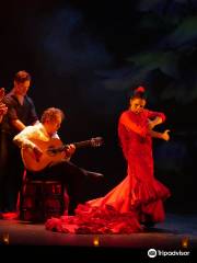 Teatro Flamenco Madrid