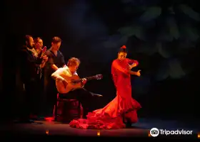 Teatro Flamenco Madrid