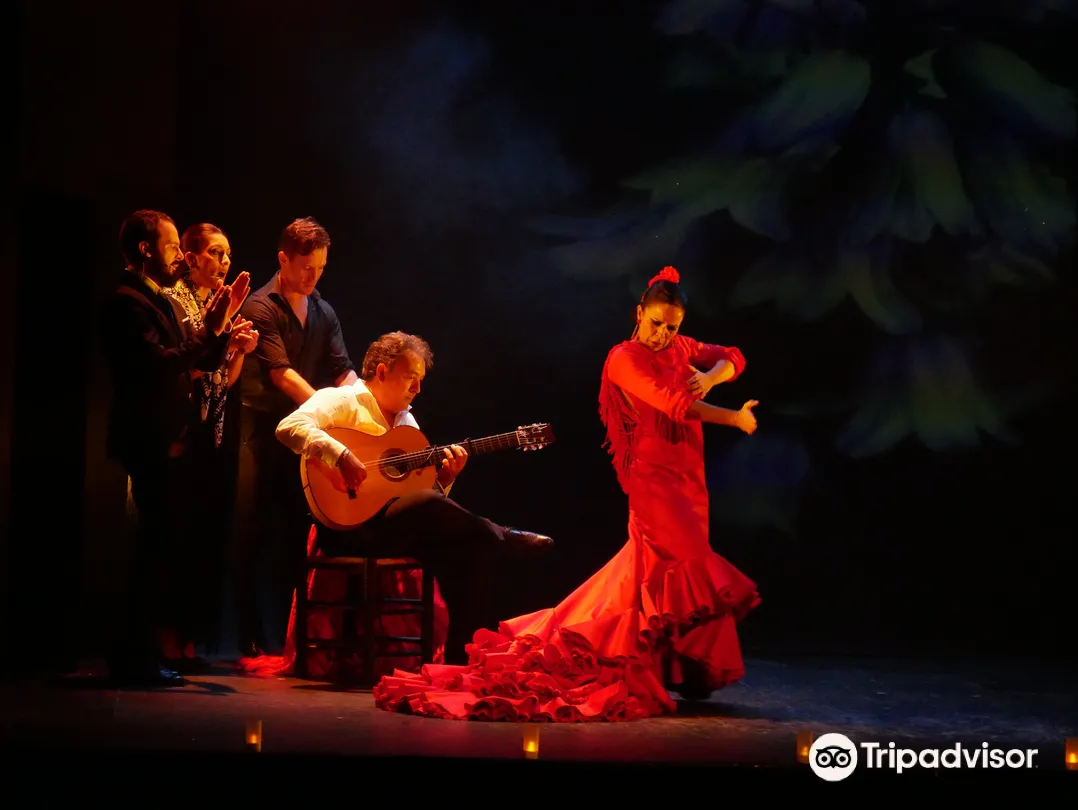 2_Teatro Flamenco Madrid