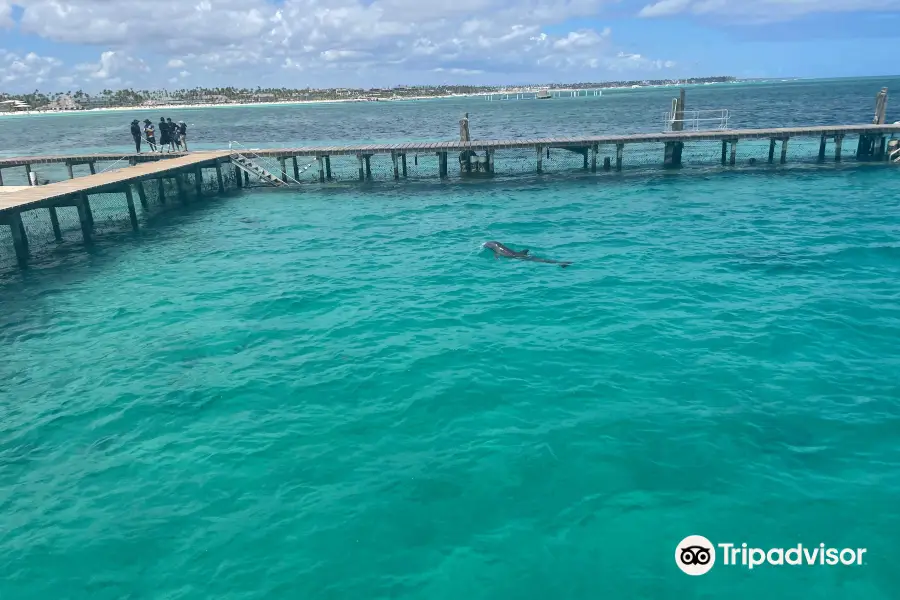 Marinarium Snorkeling Cruise