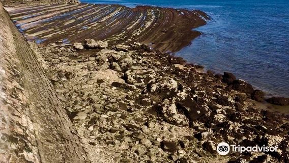 Playa de Hondarribia