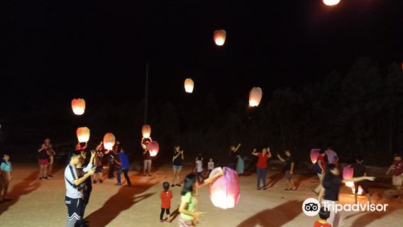 Kota Tinggi Firefly Park