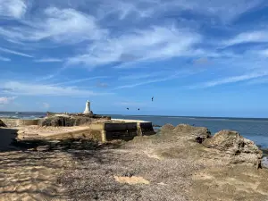Vasco da Gama Pillar