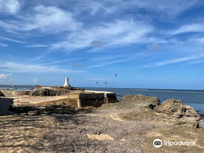 Vasco da Gama Pillar