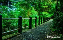 東北大学植物園