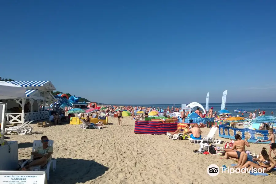 Krynica Morska Beach