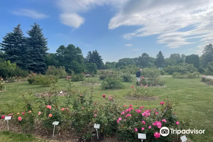 Central Botanical Garden of the National Academy of Sciences of Belarus