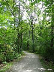 Eramosa Karst Conservation Area