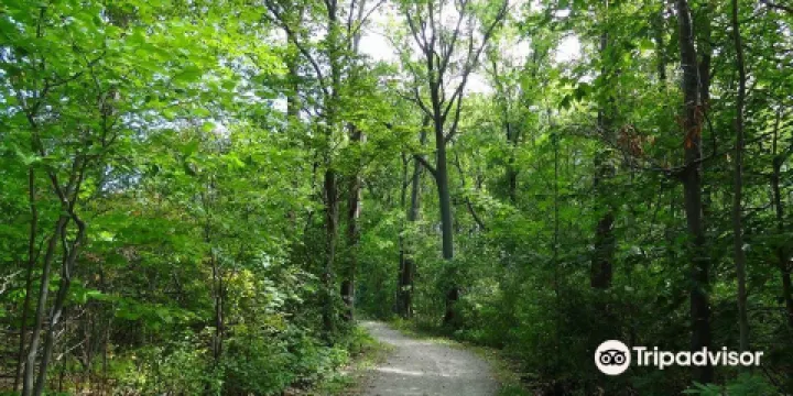 Eramosa Karst Conservation Area