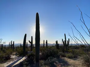 Red Hills Visitor Center