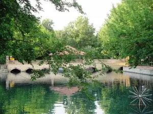 Sarchnar Park