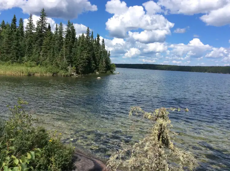 Hotels in Dryden