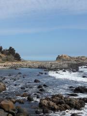 Playa Chica de Quintay