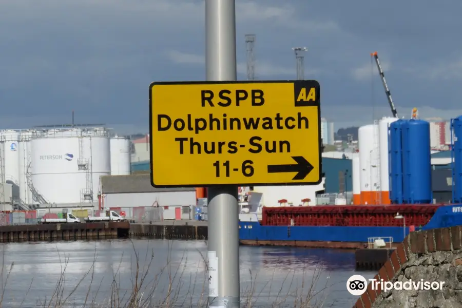 RSPB Dolphinwatch