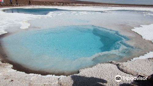 Lagunas Baltinache