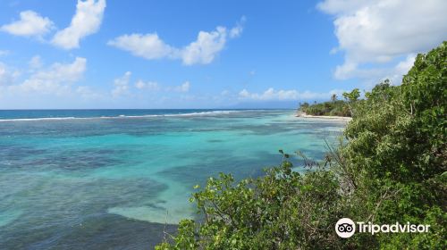 Plage de Bois Jolan