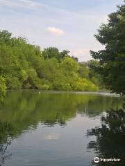 Black Dam Ponds