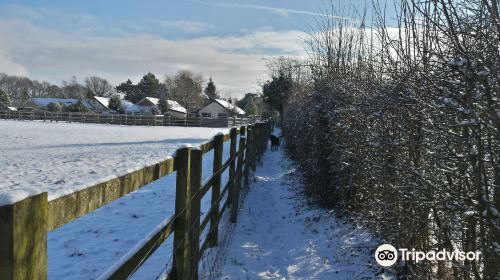 Mawdesley Jubilee Trail