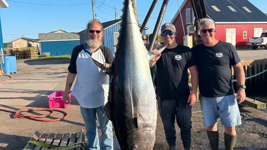 Ernie's Charter Fishing - Bluefin Tuna and Deep Sea Fishing