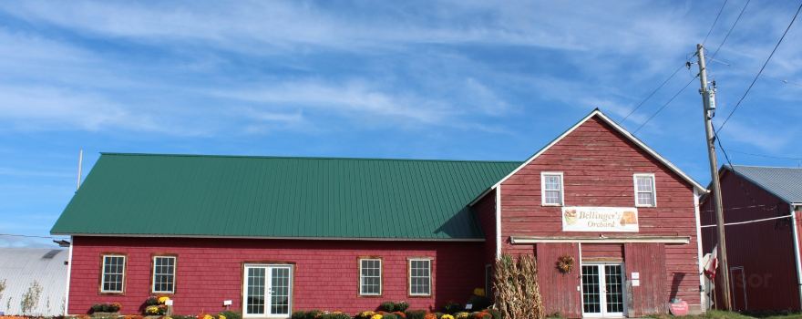 Bellinger's Orchard LLC
