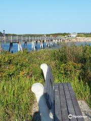 Footbridge Beach