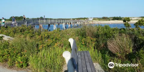 Footbridge Beach