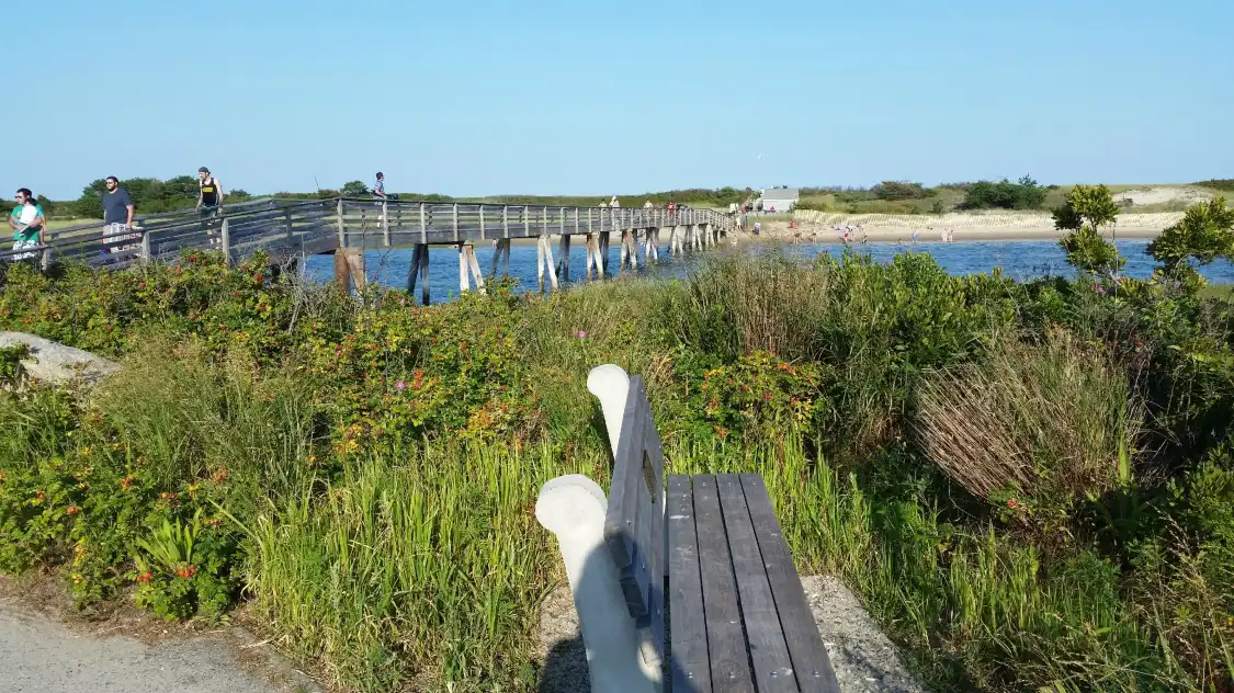 Hotels near Footbridge Beach
