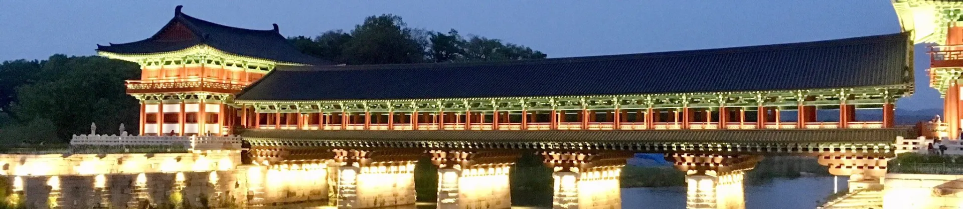 Night Attractions