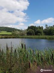 Lower Bruckland Farm Nature Reserve