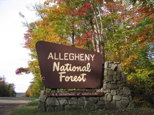 Allegheny National Forest Visitors Bureau