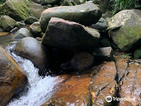 Pedra que Engole